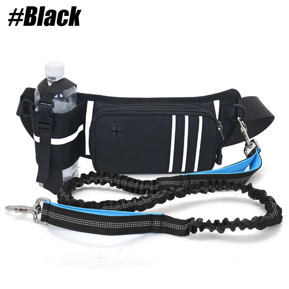 Bungee Waist Leash for Dog, Walking Running Belt for Medium & Large Dogs, Fanny Pack for Walker Training Hiking Jogging