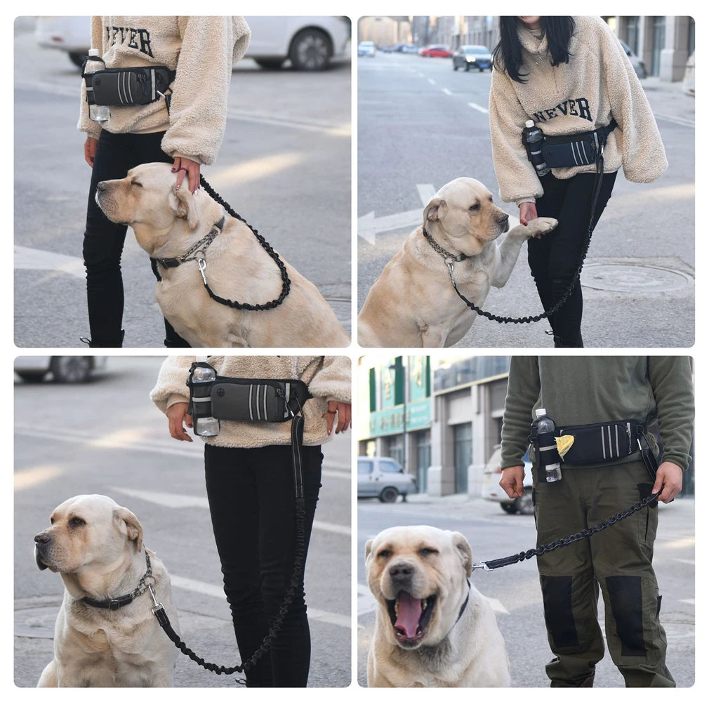 Bungee Waist Leash for Dog, Walking Running Belt for Medium & Large Dogs, Fanny Pack for Walker Training Hiking Jogging