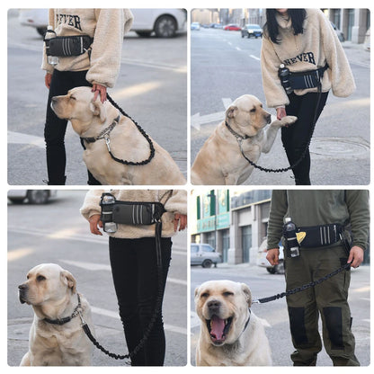 Bungee Waist Leash for Dog, Walking Running Belt for Medium & Large Dogs, Fanny Pack for Walker Training Hiking Jogging